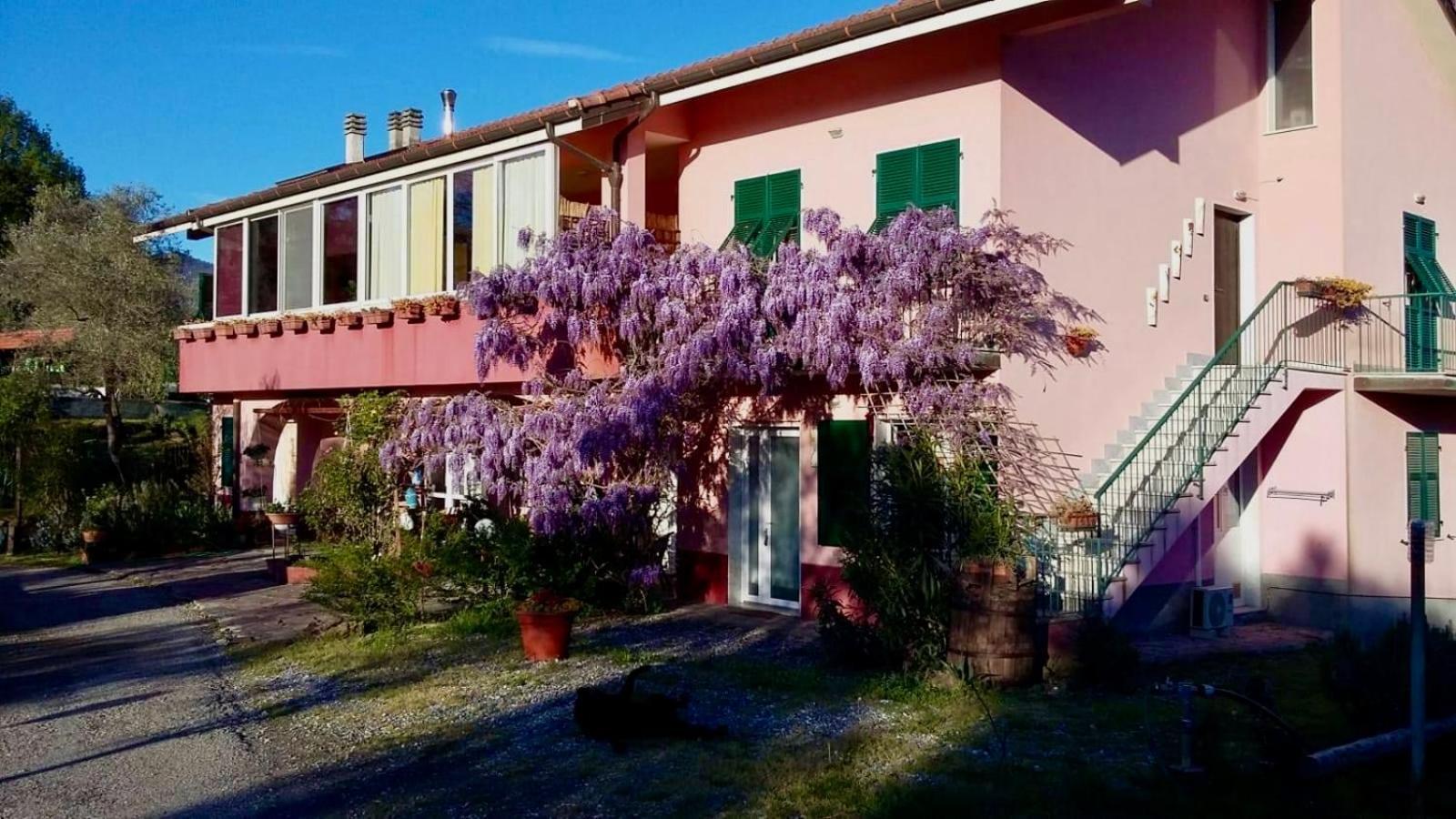 Hotel La Casa Rosa Borghetto di Vara Exterior foto